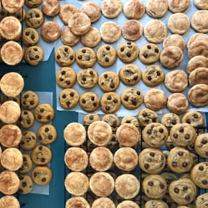 chocolate chip and snickerdoodle cookies